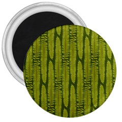 Fern Texture Nature Leaves 3  Magnets by Dutashop