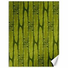 Fern Texture Nature Leaves Canvas 18  X 24  by Dutashop