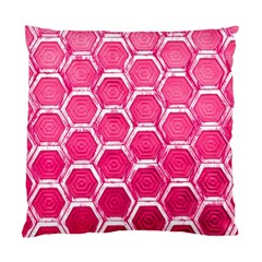 Hexagon Windows Standard Cushion Case (two Sides) by essentialimage365