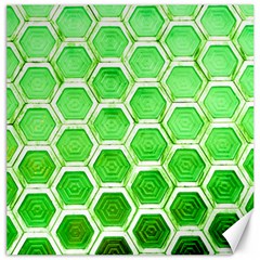 Hexagon Windows Canvas 20  X 20  by essentialimage365