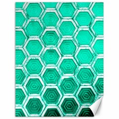 Hexagon Windows Canvas 12  X 16  by essentialimage365