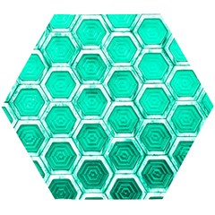 Hexagon Windows Wooden Puzzle Hexagon by essentialimage365