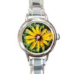 Sunflower Painting Round Italian Charm Watch by ExtraGoodSauce