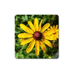 Sunflower Painting Square Magnet by ExtraGoodSauce