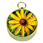 Sunflower Painting Gold Compasses Front