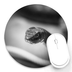 Black And White Snake Round Mousepads by ExtraGoodSauce