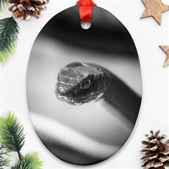 Black And White Snake Ornament (oval)