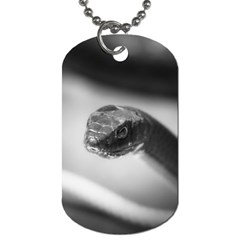 Black And White Snake Dog Tag (one Side) by ExtraGoodSauce