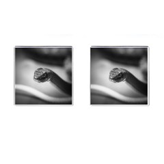 Black And White Snake Cufflinks (square) by ExtraGoodSauce