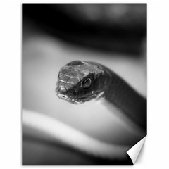 Black And White Snake Canvas 12  X 16  by ExtraGoodSauce