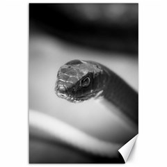 Black And White Snake Canvas 12  X 18  by ExtraGoodSauce