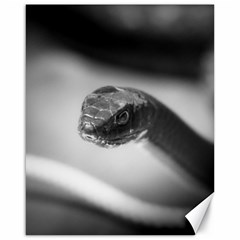 Black And White Snake Canvas 16  X 20  by ExtraGoodSauce