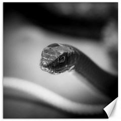 Black And White Snake Canvas 20  X 20  by ExtraGoodSauce