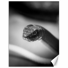 Black And White Snake Canvas 18  X 24  by ExtraGoodSauce