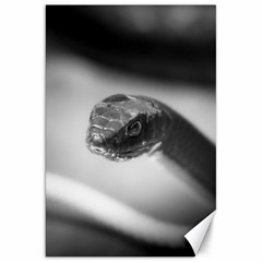 Black And White Snake Canvas 20  X 30  by ExtraGoodSauce