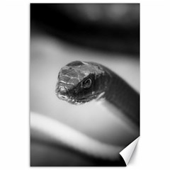 Black And White Snake Canvas 24  X 36  by ExtraGoodSauce