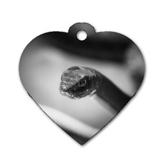 Black And White Snake Dog Tag Heart (one Side) by ExtraGoodSauce