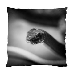 Black And White Snake Standard Cushion Case (one Side) by ExtraGoodSauce