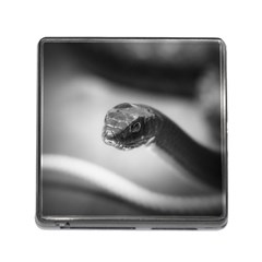 Black And White Snake Memory Card Reader (square 5 Slot) by ExtraGoodSauce