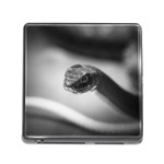 Black and White Snake Memory Card Reader (Square 5 Slot) Front