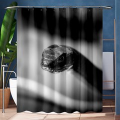 Black And White Snake Shower Curtain 60  X 72  (medium)  by ExtraAwesomeSauce