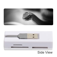 Black And White Snake Memory Card Reader (stick) by ExtraGoodSauce