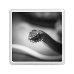 Black And White Snake Memory Card Reader (square) by ExtraAwesomeSauce