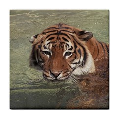 Swimming Tiger Tile Coaster by ExtraGoodSauce