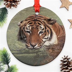 Swimming Tiger Ornament (round) by ExtraAwesomeSauce