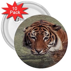 Swimming Tiger 3  Buttons (10 Pack)  by ExtraAwesomeSauce