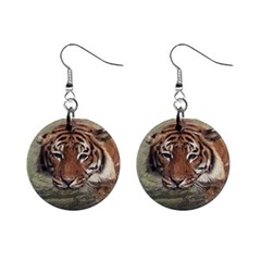 Swimming Tiger Mini Button Earrings by ExtraGoodSauce