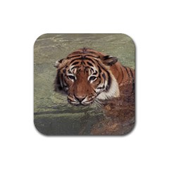 Swimming Tiger Rubber Coaster (square)  by ExtraGoodSauce