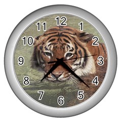 Swimming Tiger Wall Clock (silver) by ExtraGoodSauce