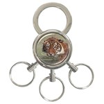 Swimming Tiger 3-Ring Key Chain Front