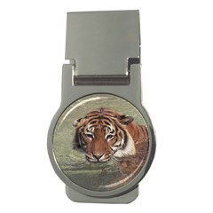 Swimming Tiger Money Clips (round)  by ExtraGoodSauce