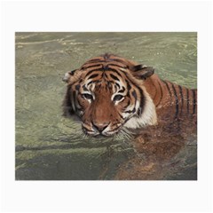 Swimming Tiger Small Glasses Cloth by ExtraGoodSauce