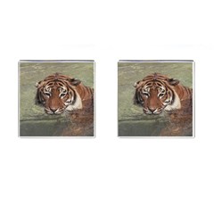 Swimming Tiger Cufflinks (square) by ExtraGoodSauce