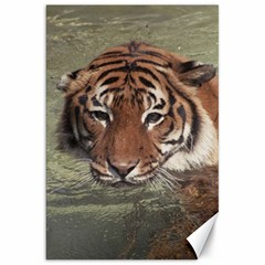 Swimming Tiger Canvas 20  X 30  by ExtraGoodSauce