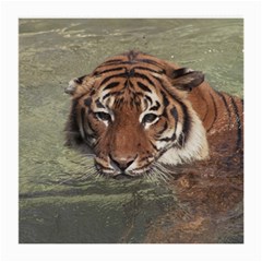 Swimming Tiger Medium Glasses Cloth by ExtraGoodSauce