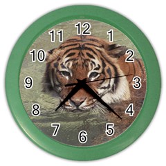 Swimming Tiger Color Wall Clock by ExtraGoodSauce