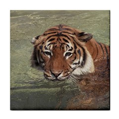 Swimming Tiger Face Towel