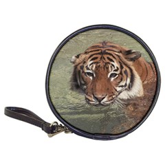 Swimming Tiger Classic 20-cd Wallets by ExtraGoodSauce