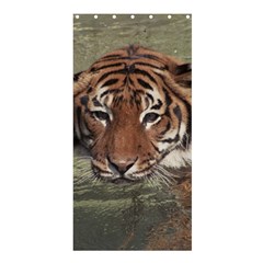 Swimming Tiger Shower Curtain 36  X 72  (stall)  by ExtraGoodSauce