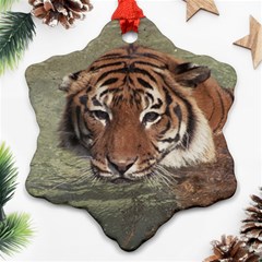 Swimming Tiger Ornament (snowflake) by ExtraGoodSauce