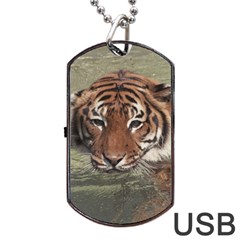 Swimming Tiger Dog Tag Usb Flash (two Sides) by ExtraGoodSauce