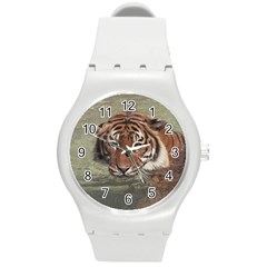 Swimming Tiger Round Plastic Sport Watch (m) by ExtraGoodSauce