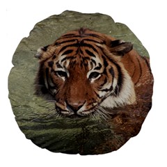 Swimming Tiger Large 18  Premium Round Cushions by ExtraGoodSauce