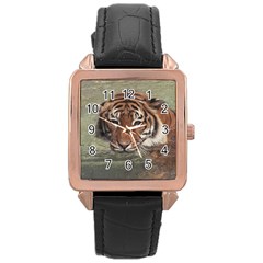 Swimming Tiger Rose Gold Leather Watch  by ExtraGoodSauce