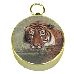 Swimming Tiger Gold Compasses by ExtraGoodSauce