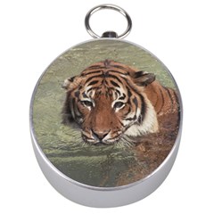 Swimming Tiger Silver Compasses by ExtraGoodSauce